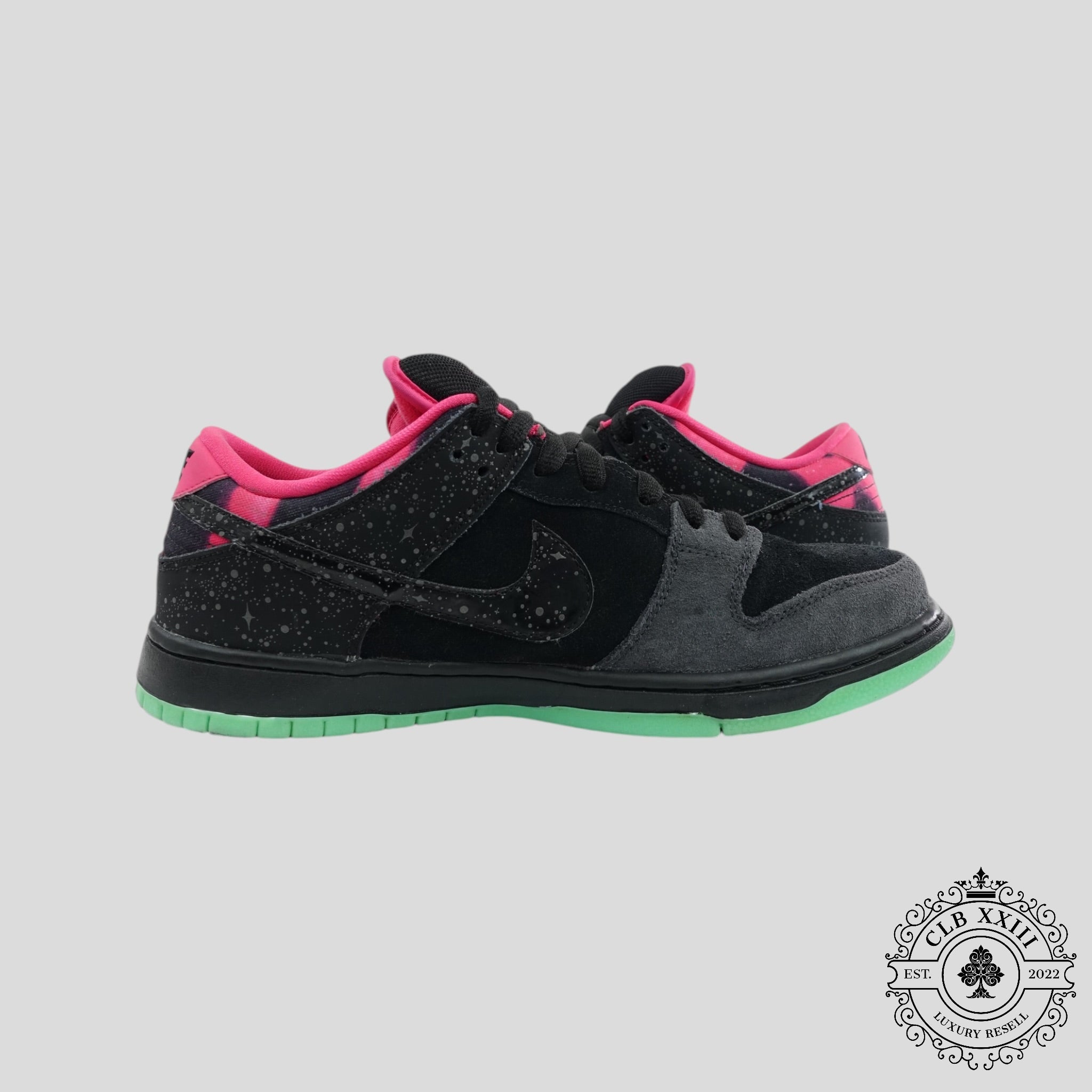 Nike SB Dunk Low Premier Northern Lights